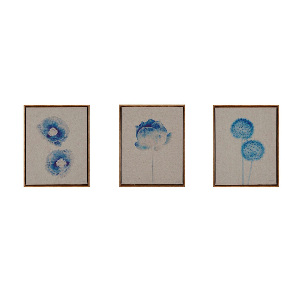 Blue Print Botanicals Framed 3 Piece Printed Canvas On Linen